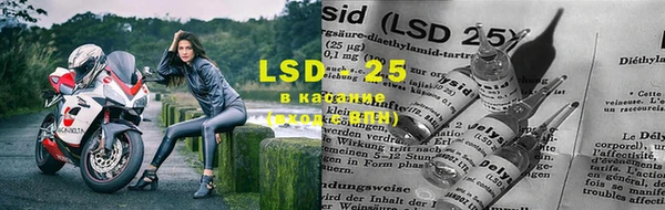 сатива Кодинск