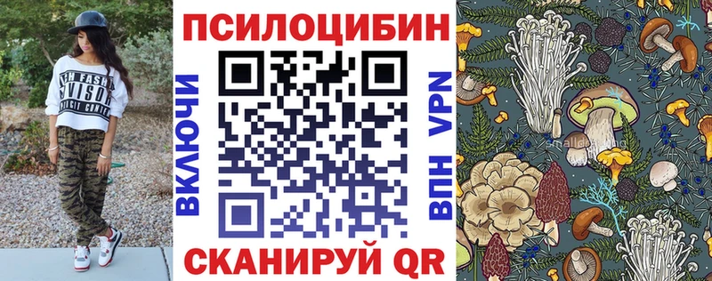 Купить закладки  Кола  Галлюциногенные грибы прущие грибы 
